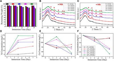 Corrigendum: Micro-Nano Bioactive Glass Particles Incorporated Porous Scaffold for Promoting Osteogenesis and Angiogenesis in vitro